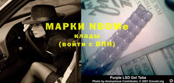 индика Осташков