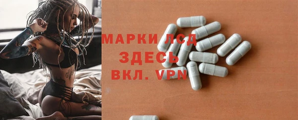 гидра Пересвет