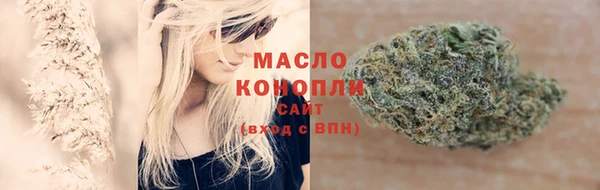гидра Пересвет