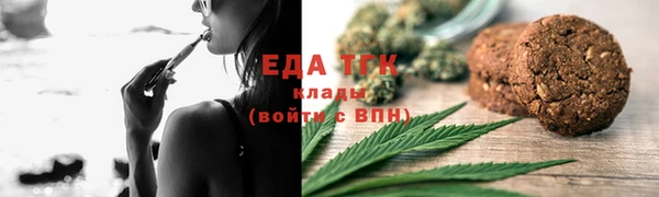 индика Осташков