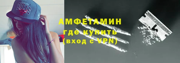 индика Осташков