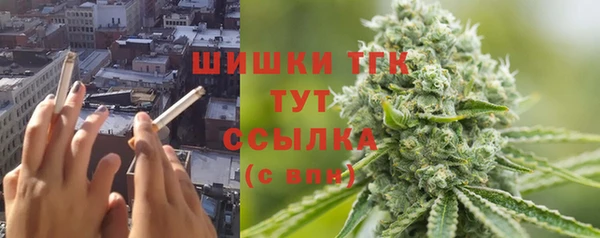 индика Осташков