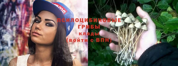 индика Осташков