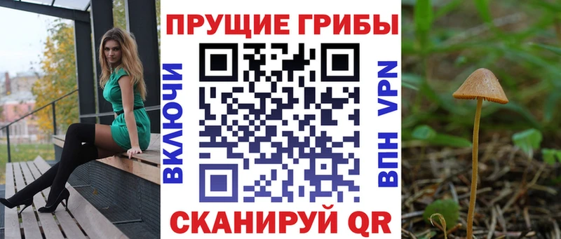 Псилоцибиновые грибы GOLDEN TEACHER продажа наркотиков Западная Двина