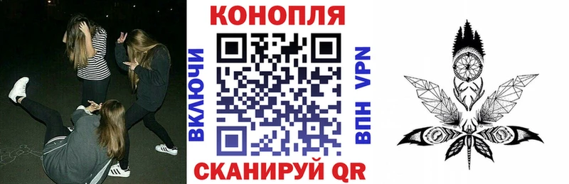 Бошки марихуана семена Западная Двина